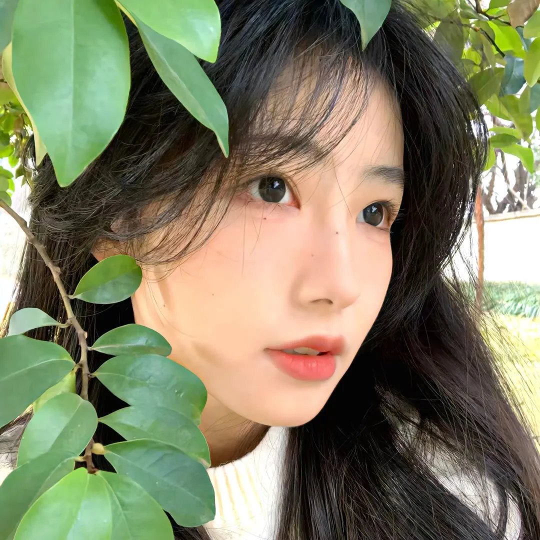杜鲁门总统传